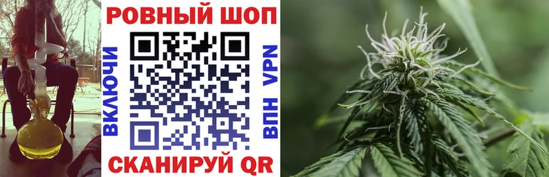 Где купить Искитим Альфа ПВП Амфетамин ГАШ Каннабис МЕГА ТОР Cocaine