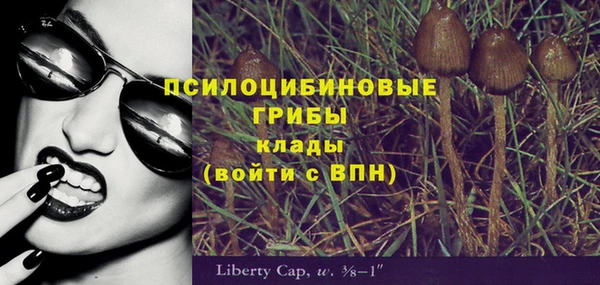 а пвп мука Абаза