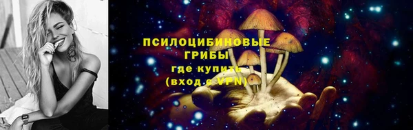 эйфоретик Абинск